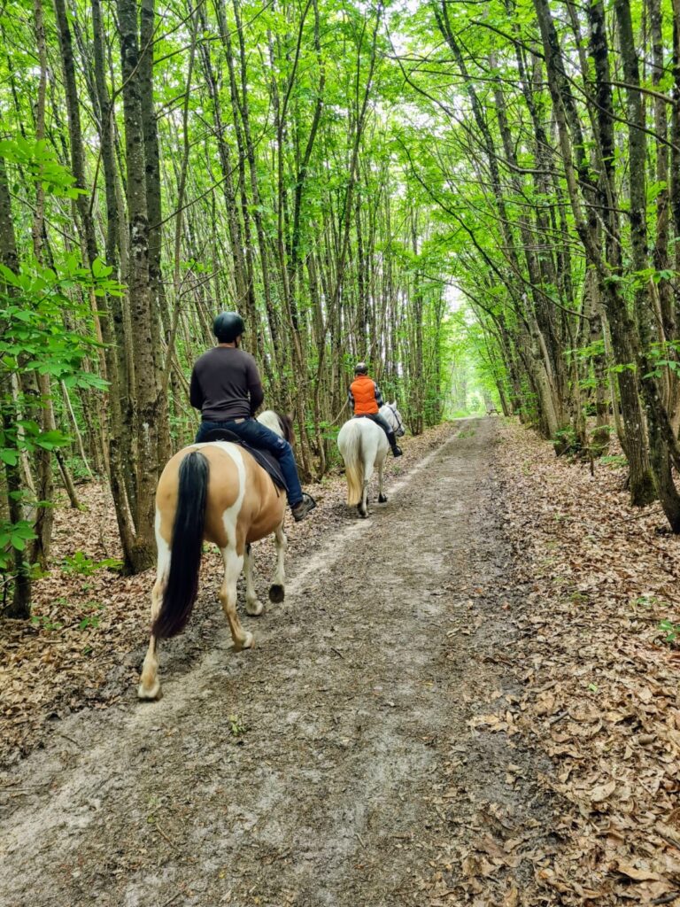 chapitalia tarifs balade randonnées équestre à cheval Sarthe Volnay Val-de-la-Hune image