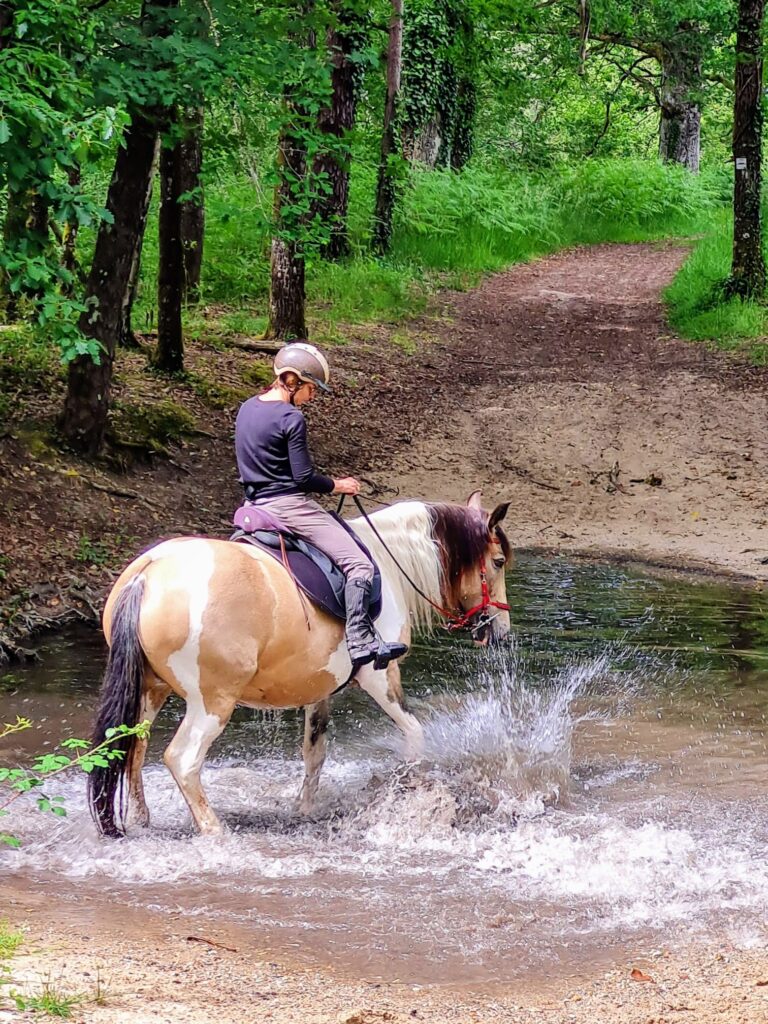 chapitalia tarifs balade randonnées équestre à cheval Sarthe Volnay Val-de-la-Hune image