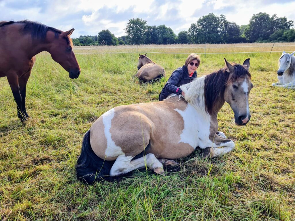image Chapitalia balade à cheval randonnées équestre Sarthe Volnay Val-de-la-Hune