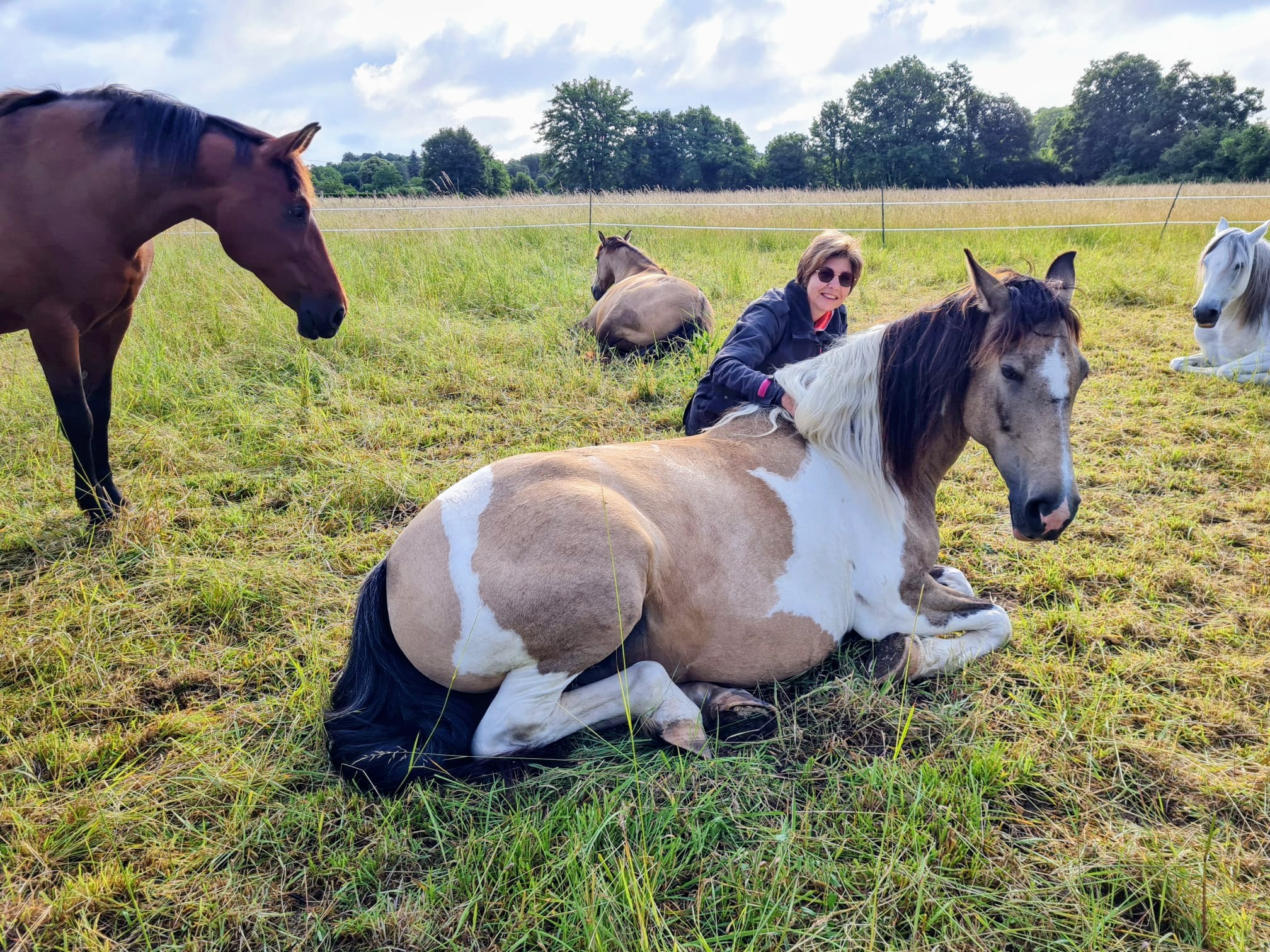 image Chapitalia balade à cheval randonnées équestre Sarthe Volnay Val-de-la-Hune