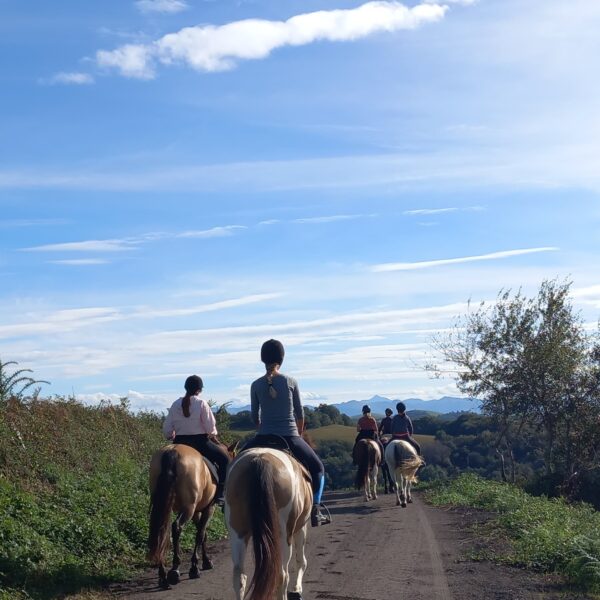 image Chapitalia balade à cheval randonnées équestre Sarthe Volnay Val-de-la-Hune