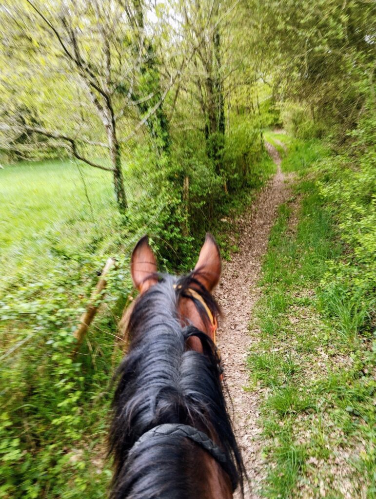 chapitalia tarifs balade randonnées équestre à cheval Sarthe Volnay Val-de-la-Hune image