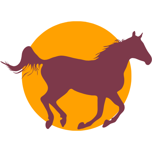 Chapitalia icône cheval balade randonnées équestres Sarthe le Mans Valérie Ravera