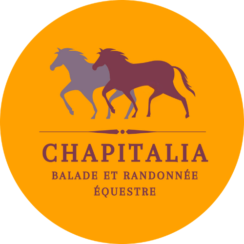 chapitalia logo jaune cheval balade randonnées équestres sarthe le mans Valérie Ravera