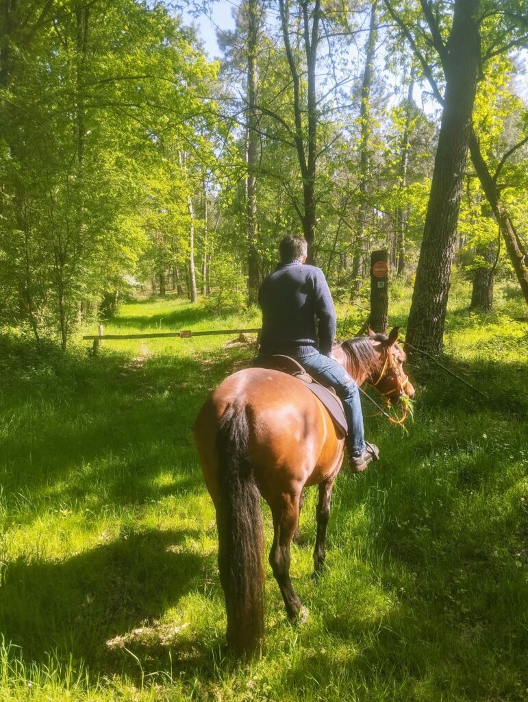 chapitalia tarifs balade randonnées équestre à cheval Sarthe Volnay Val-de-la-Hune image